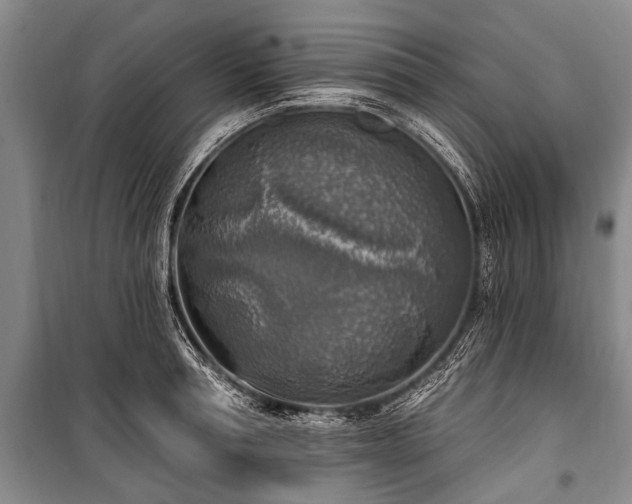 X0000101150994200806270939
