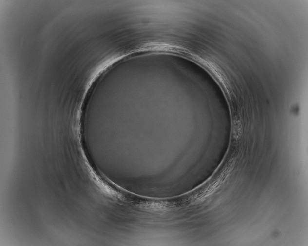X0000101150995200806270939