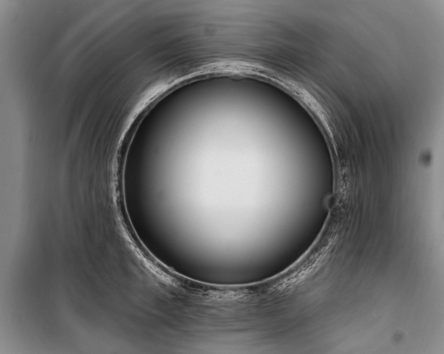 X0000101150997200806270939