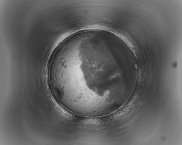 X0000101150998200806270939