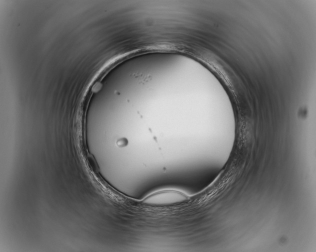 X0000101151000200806270939