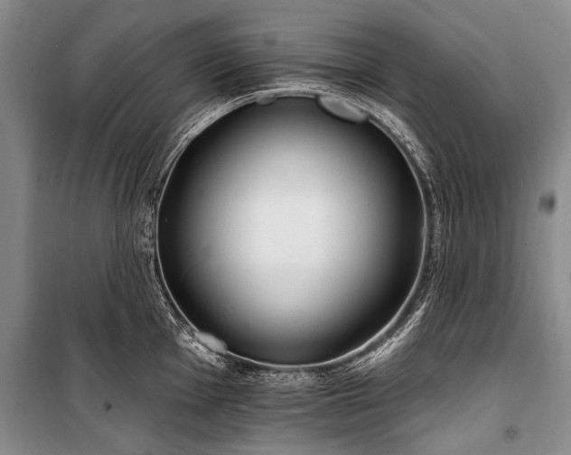 X0000101151001200806270939