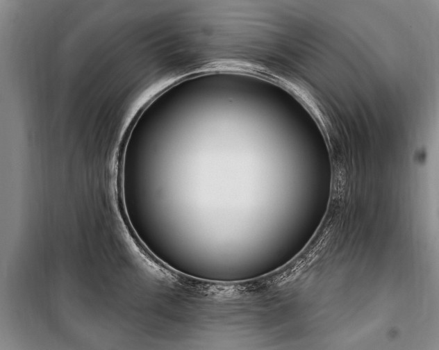 X0000101151003200806270939