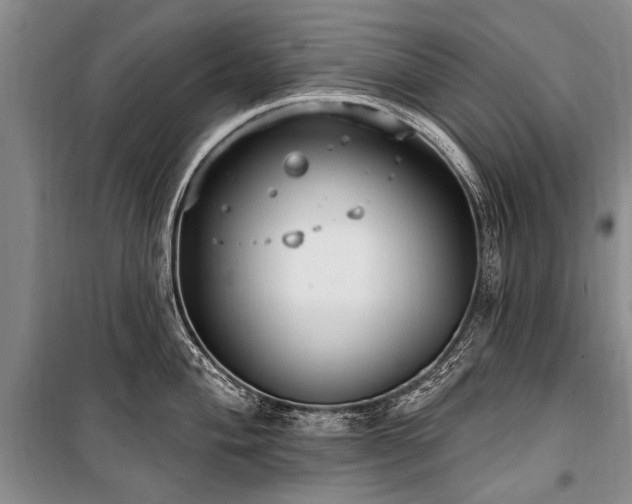 X0000101151004200806270939