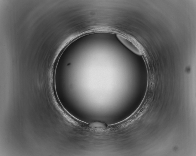 X0000101151005200806270939