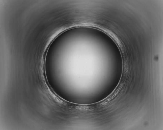 X0000101151006200806270939