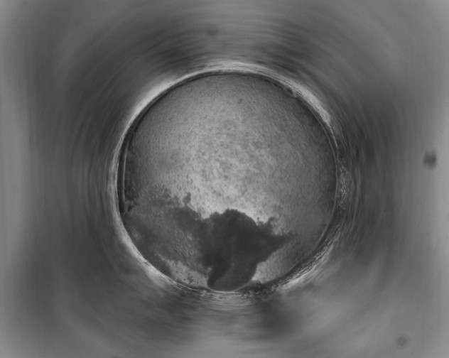 X0000101151007200806270939