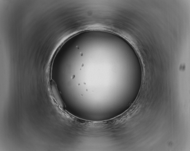 X0000101151008200806270939