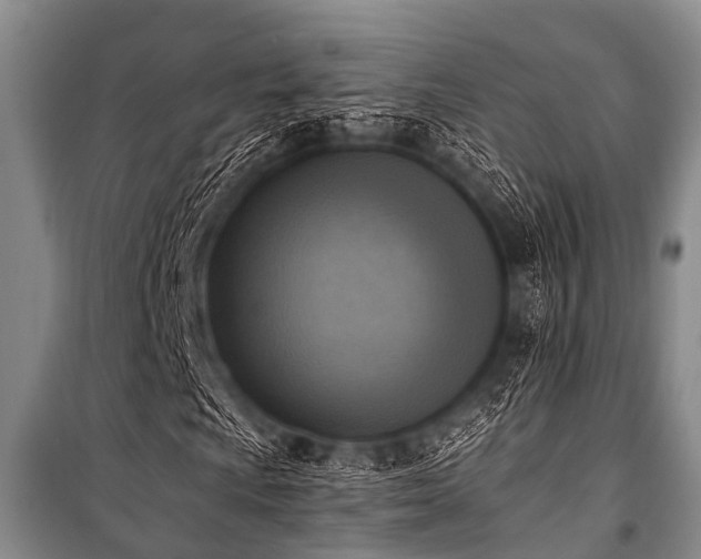 X0000101151009200806270938