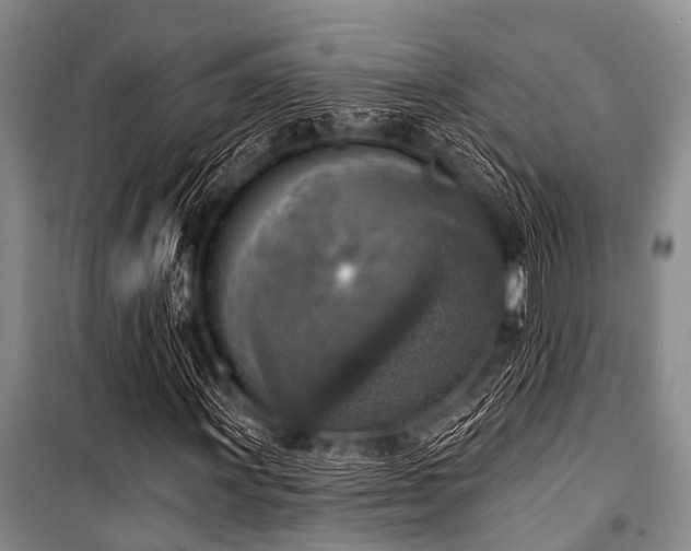 X0000101151011200806270939