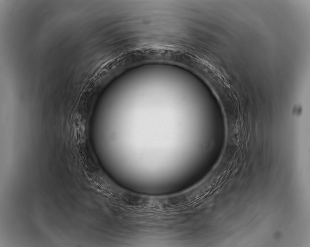 X0000101151013200806270939