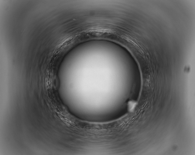 X0000101151014200806270939
