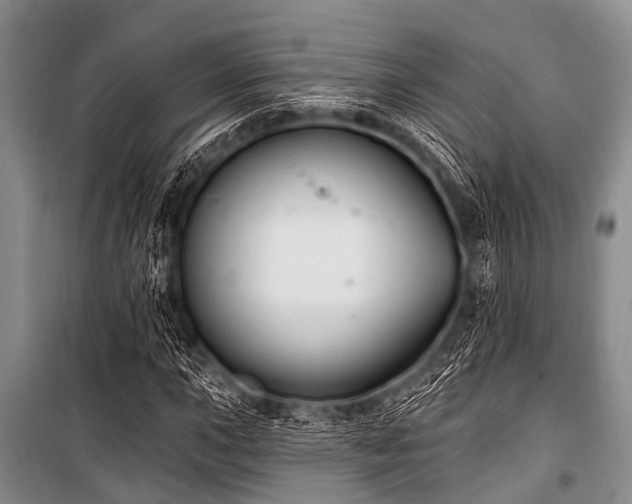 X0000101151015200806270939