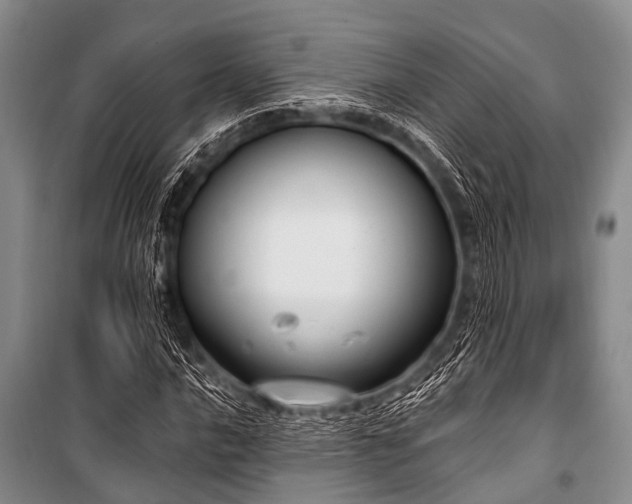 X0000101151016200806270939