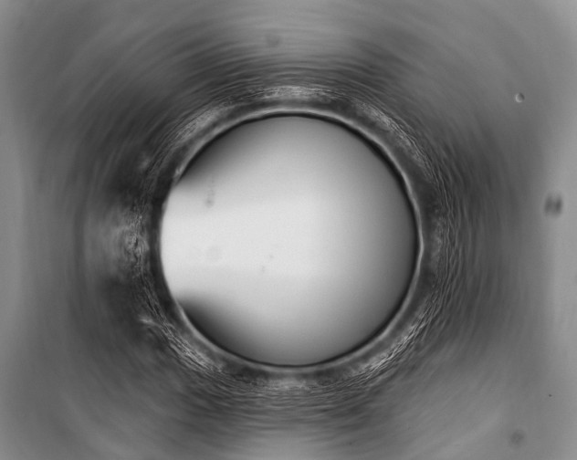 X0000101151017200806270939