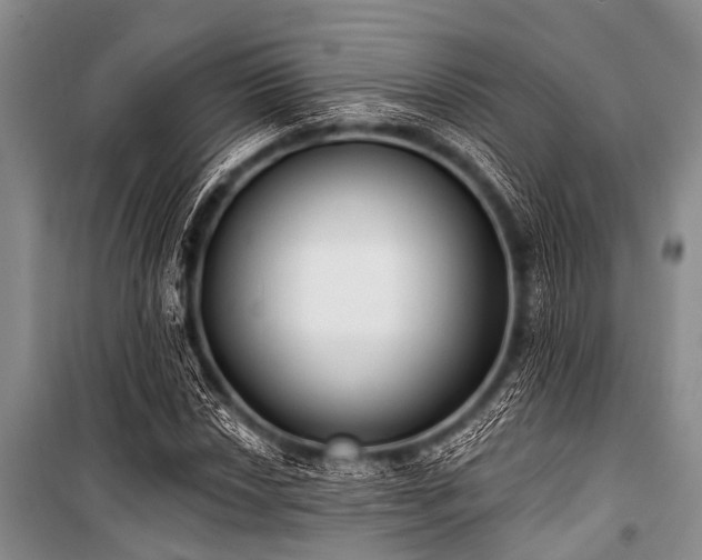 X0000101151018200806270939