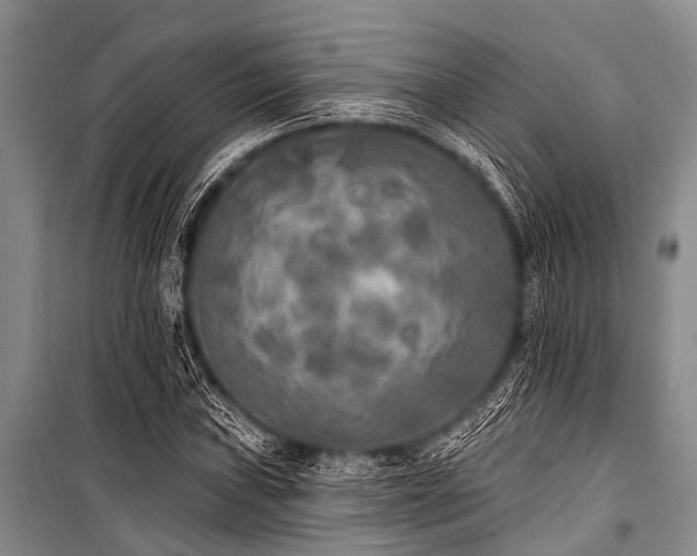 X0000101151019200806270939