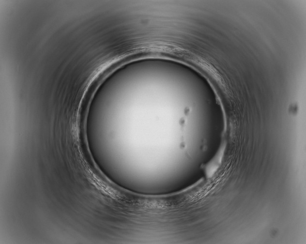 X0000101151020200806270939