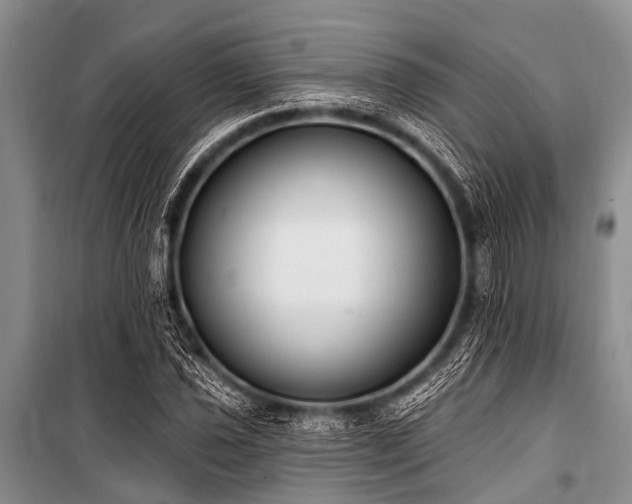 X0000101151021200806270939