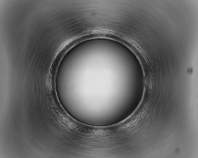 X0000101151022200806270939