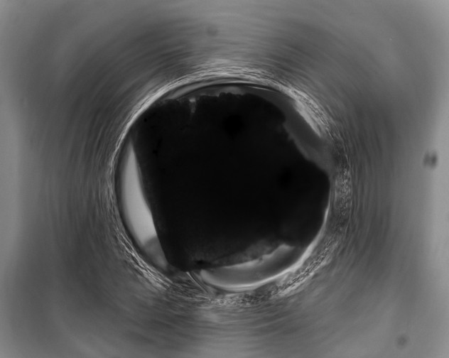 X0000101151023200806270939