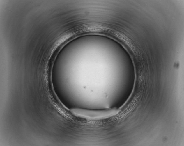X0000101151026200806270939