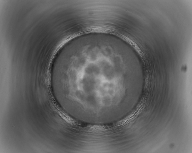 X0000101151027200806270939