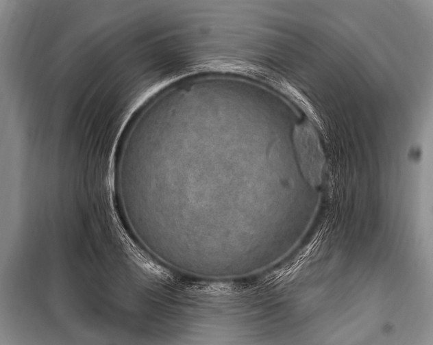 X0000101151028200806270939