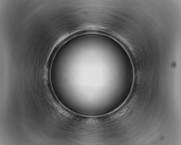 X0000101151029200806270939