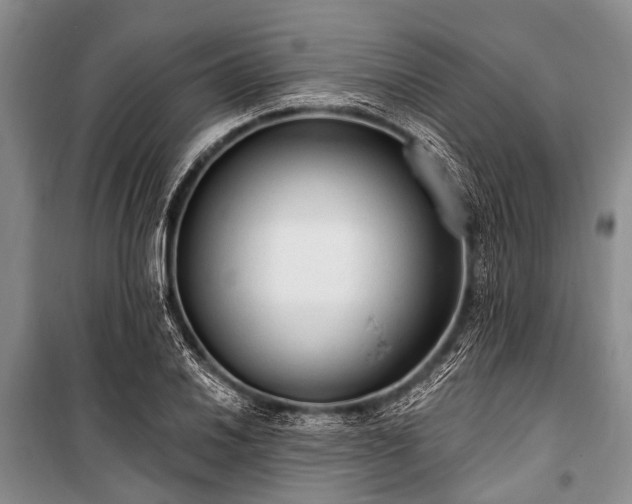 X0000101151030200806270939