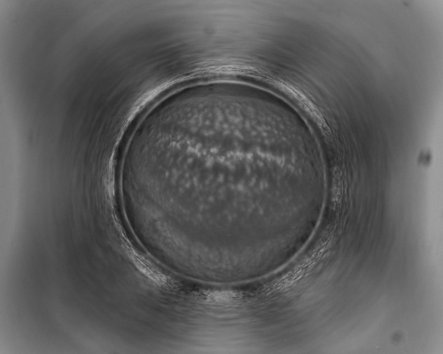 X0000101151031200806270939