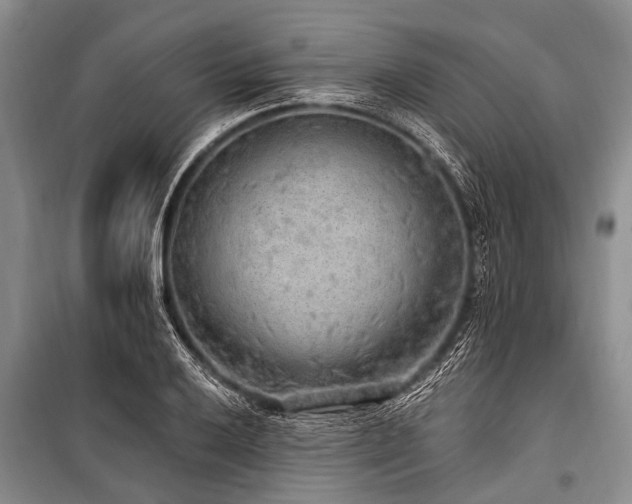 X0000101151032200806270939