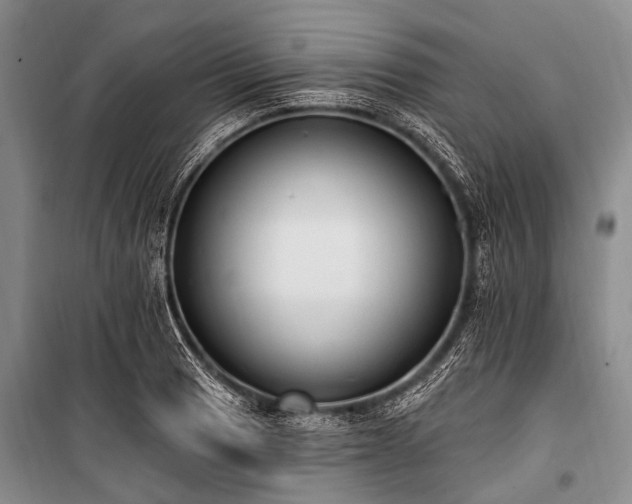 X0000101151033200806270939