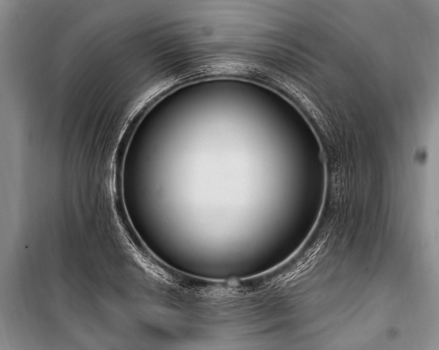 X0000101151034200806270939
