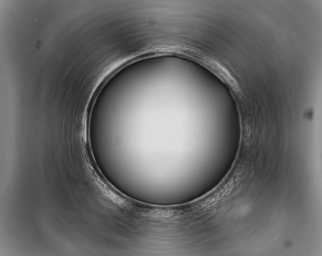 X0000101151036200806270939