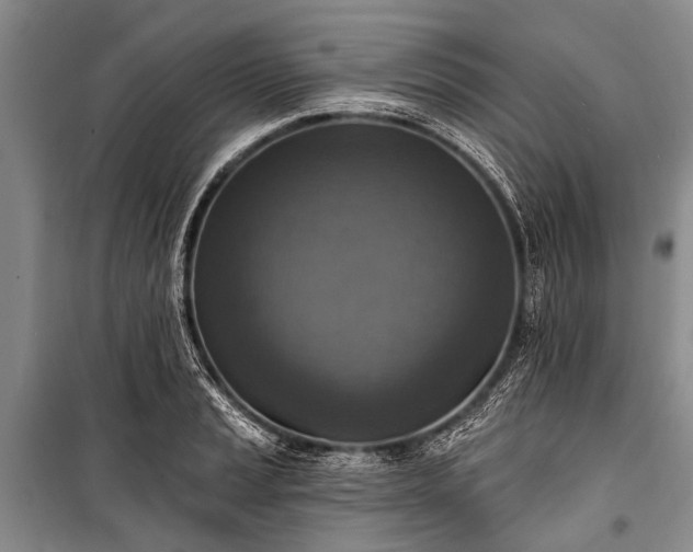 X0000101151037200806270939