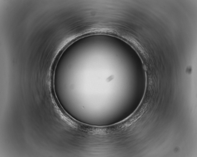 X0000101151038200806270939