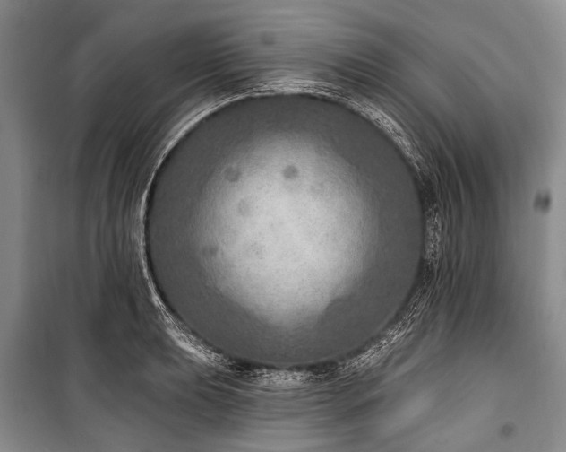 X0000101151039200806270939