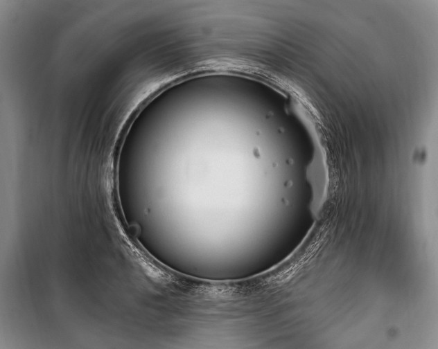 X0000101151040200806270939
