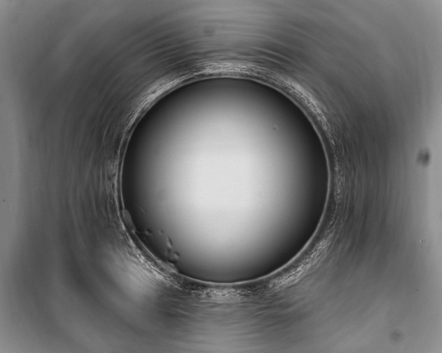 X0000101151041200806270939