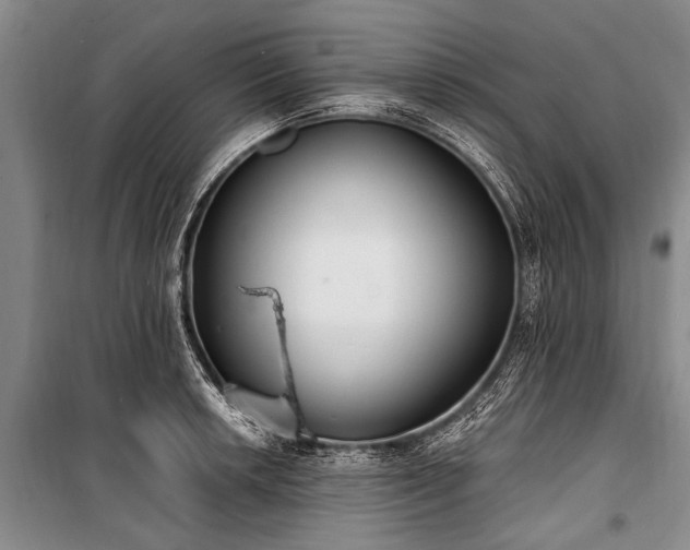 X0000101151042200806270939