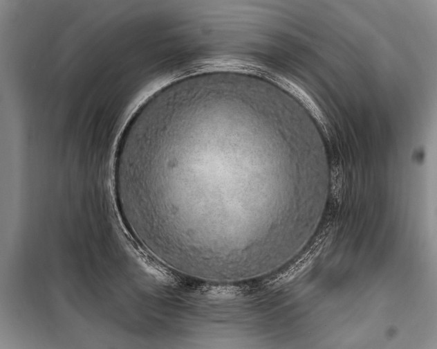 X0000101151043200806270939