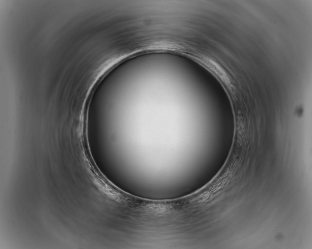 X0000101151044200806270939