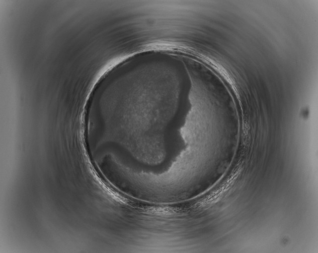 X0000101151045200806270939