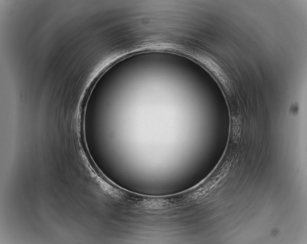 X0000101151046200806270939