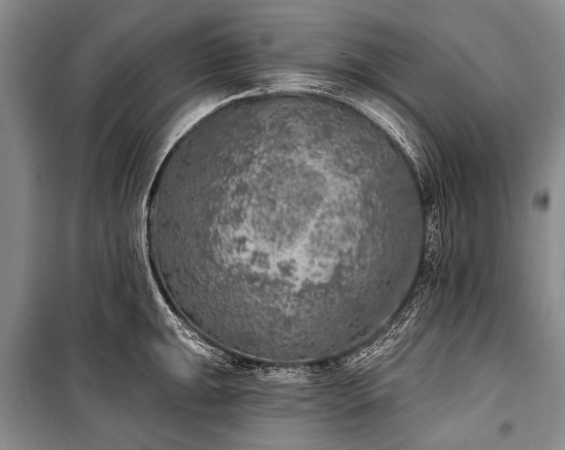 X0000101151047200806270939