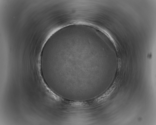 X0000101151048200806270939