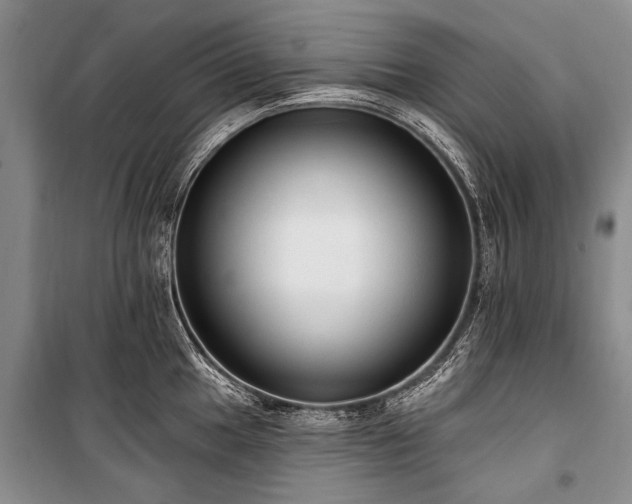 X0000101151049200806270939