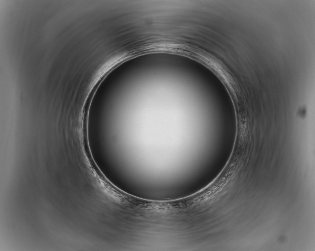X0000101151050200806270939