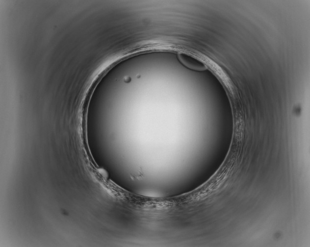 X0000101151051200806270939